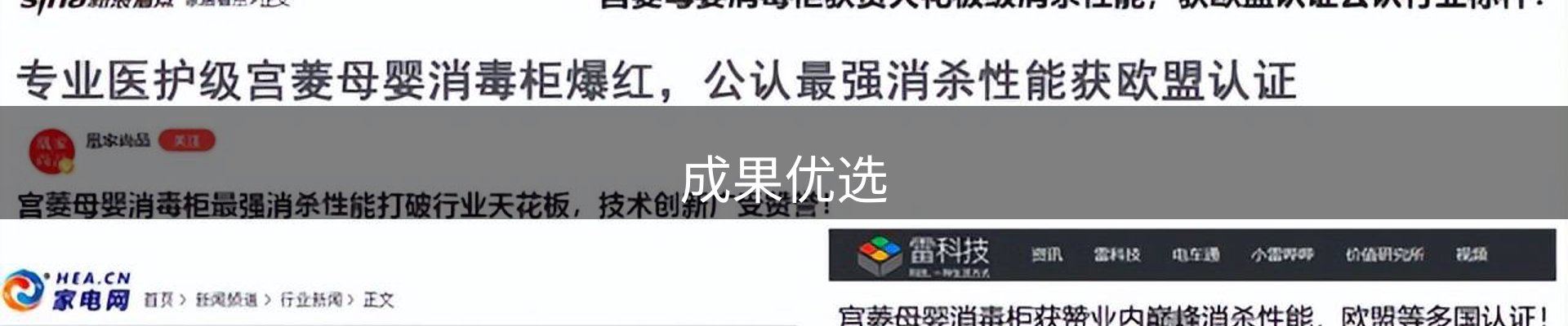 成果优选